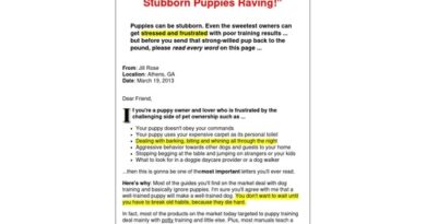 Emergency Puppy Training Guide