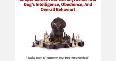 Brain Training For Dogs – Adrienne Farricelli’s Online Dog Trainer