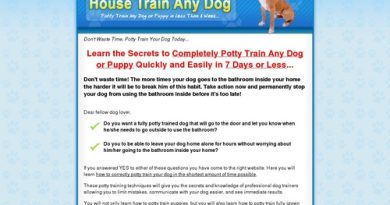 How to Housetrain Any Dog